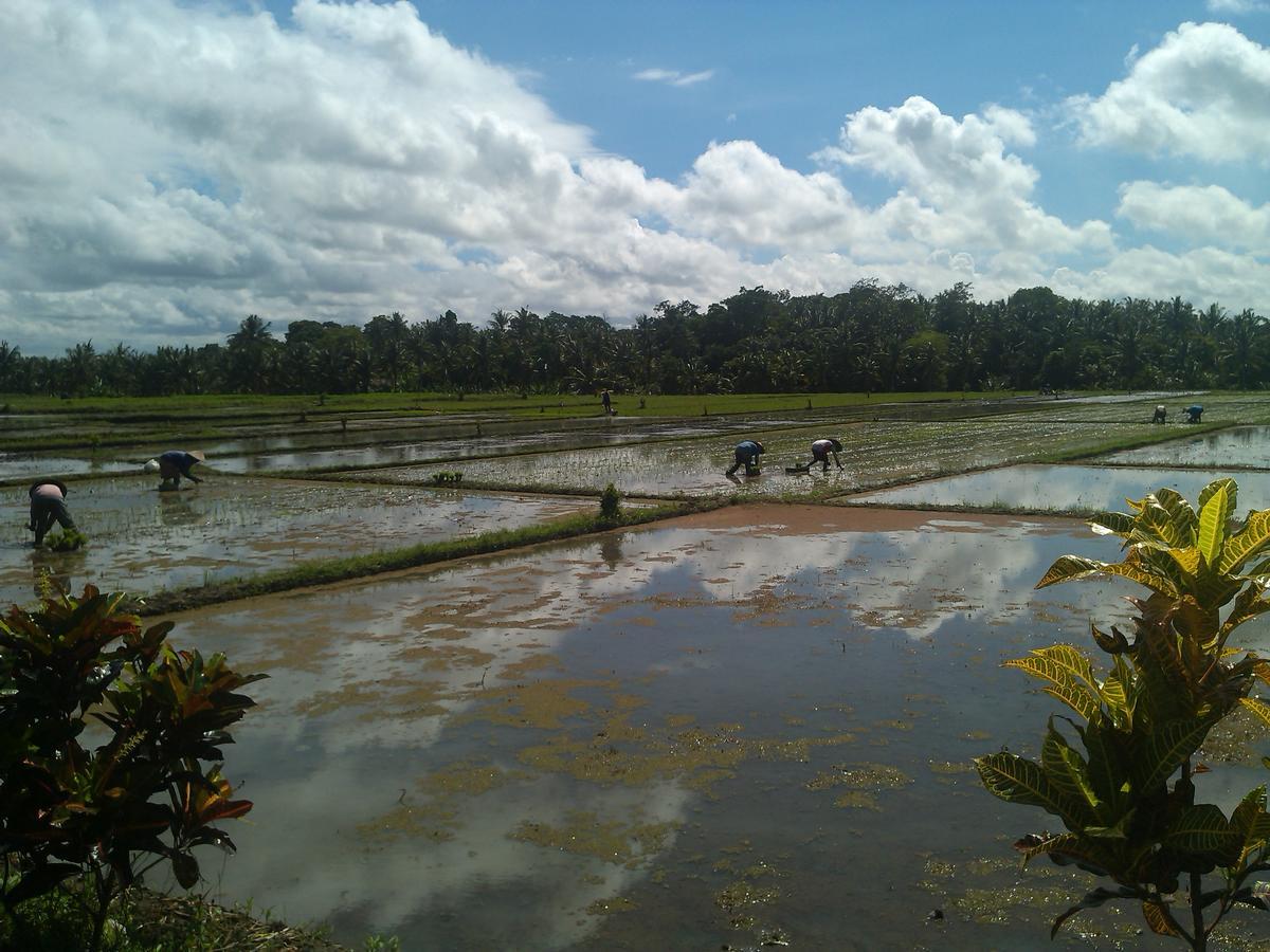 Ibu Ana Homestay ตาบานัน ภายนอก รูปภาพ